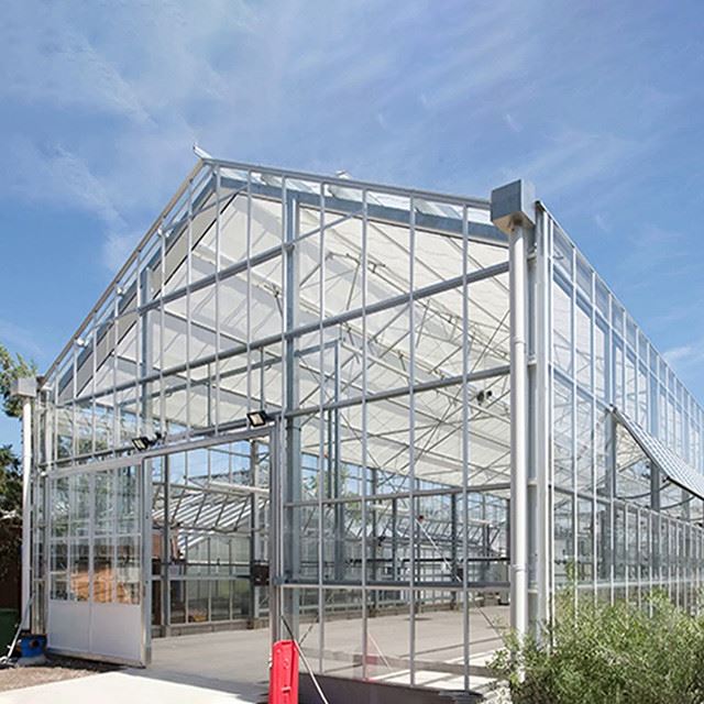 Chili Greenhouse